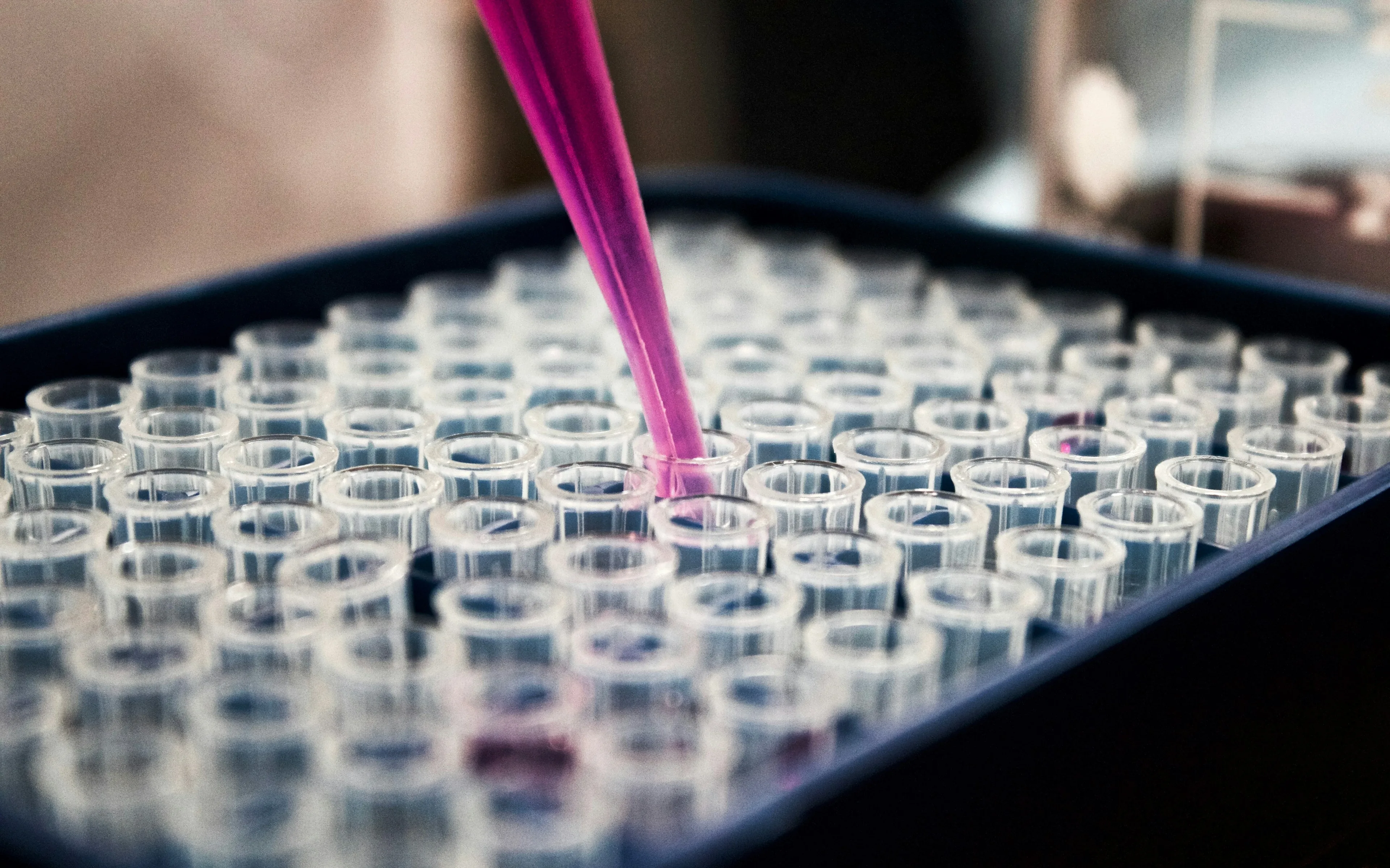 Laboratory glassware used in chemical development